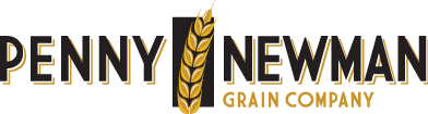 PN logo